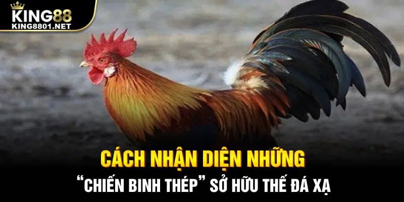 Cách nhận diện những “chiến binh thép” sở hữu thế đá xạ